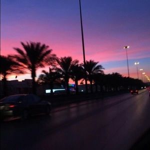 Meet your Posher, Marilyn